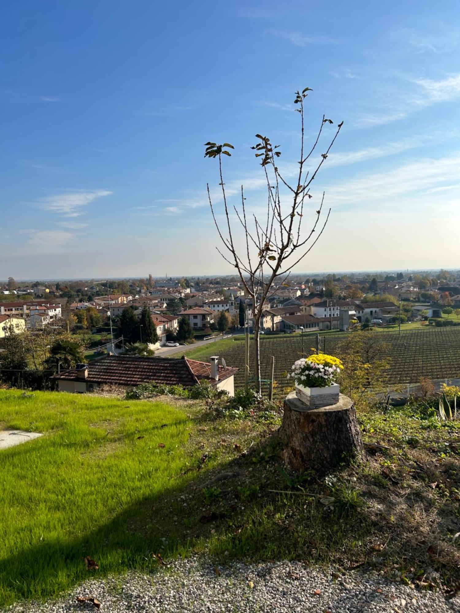 B&B San Martino San Martino  Екстериор снимка